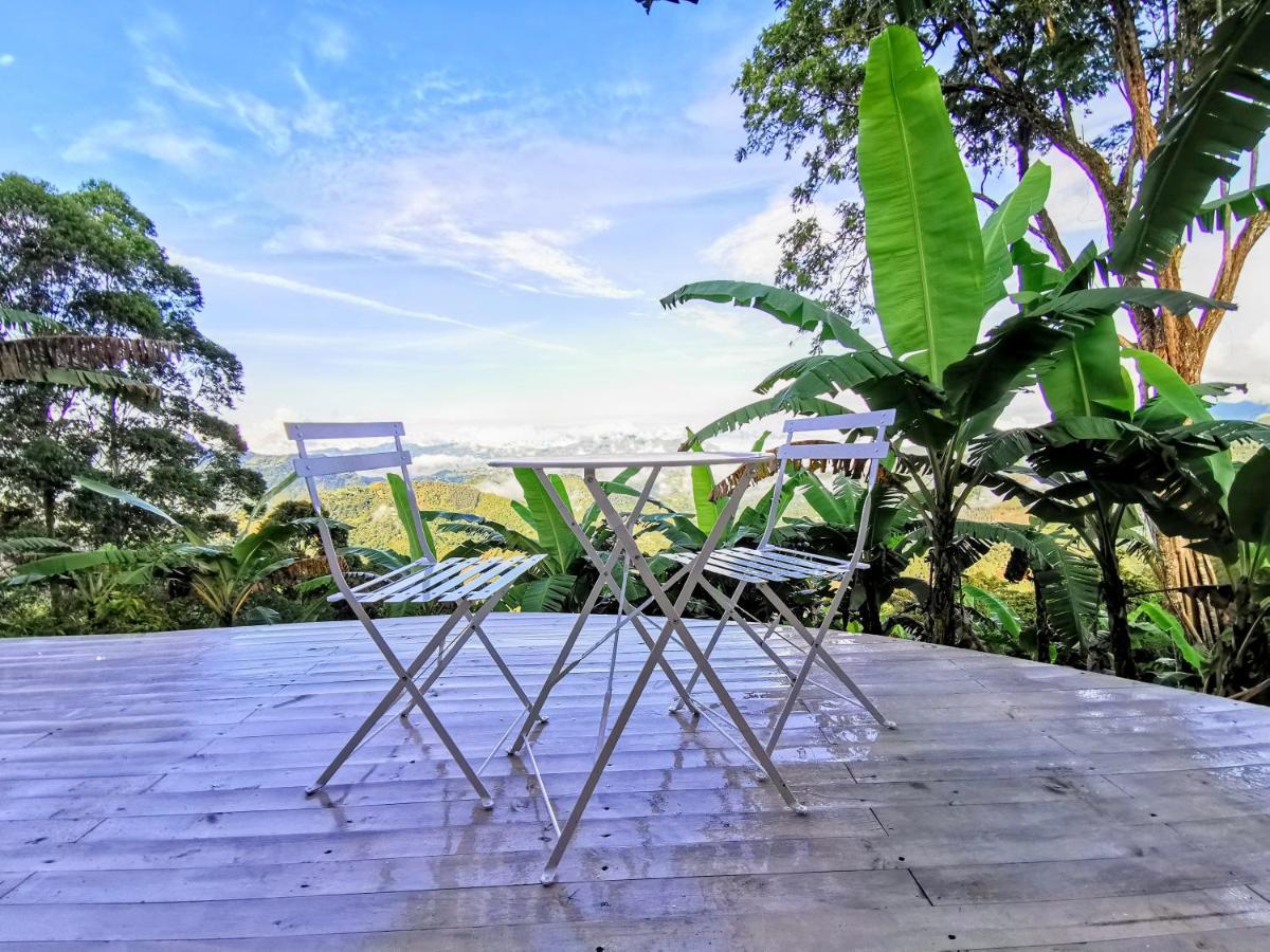 Bajo El Cielo Glamping San Francisco Hotel San Francisco  Luaran gambar